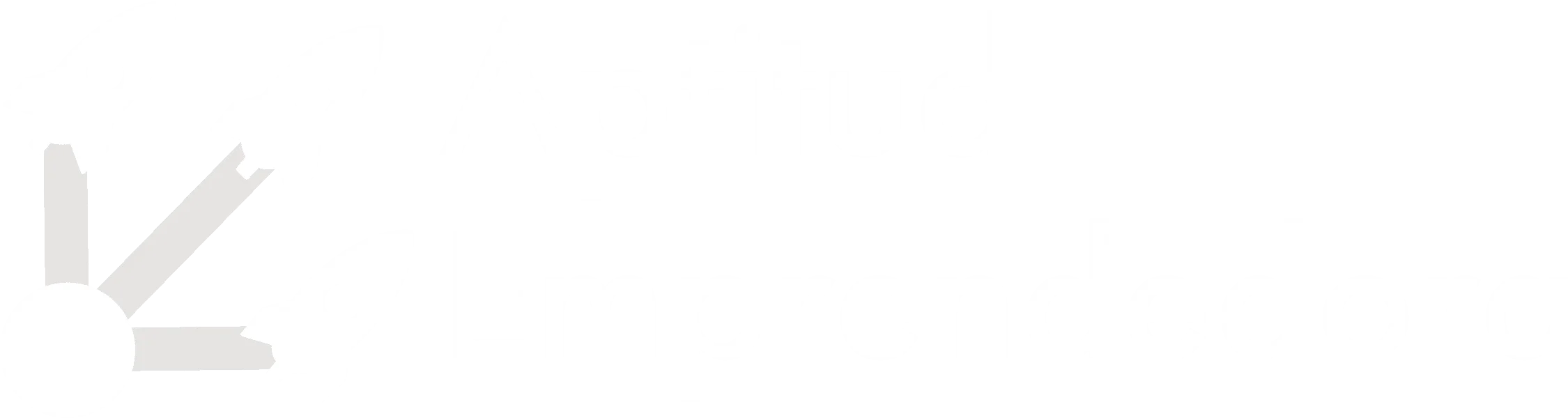 Aptitud Emprendedora — Agencia web en Perú